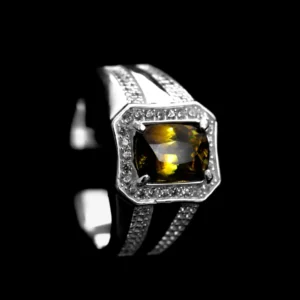 Iced out men's ring silver 925 rhodium coated (Copy) (Copy)